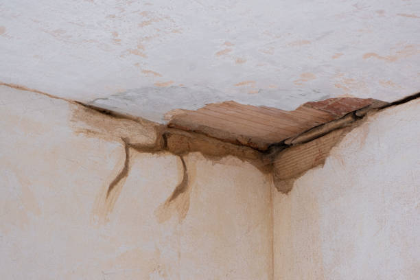 Best Residential water damage restoration  in Kings Mills, OH