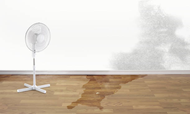 Best Sewage cleanup and water damage restoration  in Kings Mills, OH