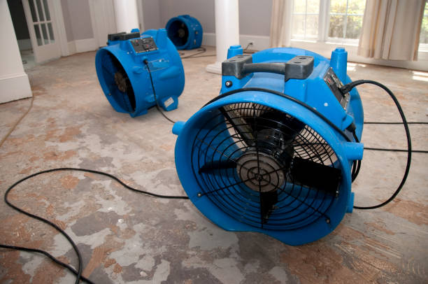 Best Water damage restoration near me  in Kings Mills, OH