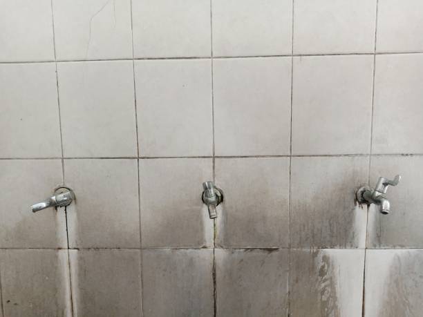 Best Water damage contractors near me  in Kings Mills, OH