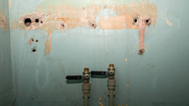 Best Water damage contractors near me  in Kings Mills, OH