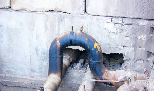 Best Water damage cleanup near me  in Kings Mills, OH