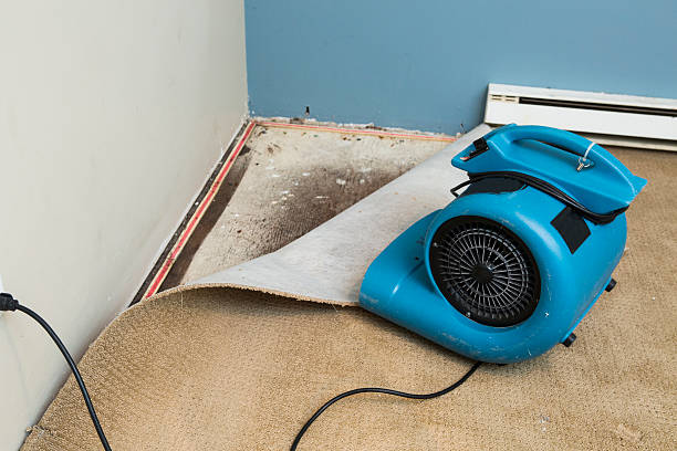 Best Ceiling water damage repair  in Kings Mills, OH